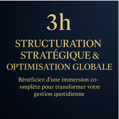 Organisation & gestion d’activité